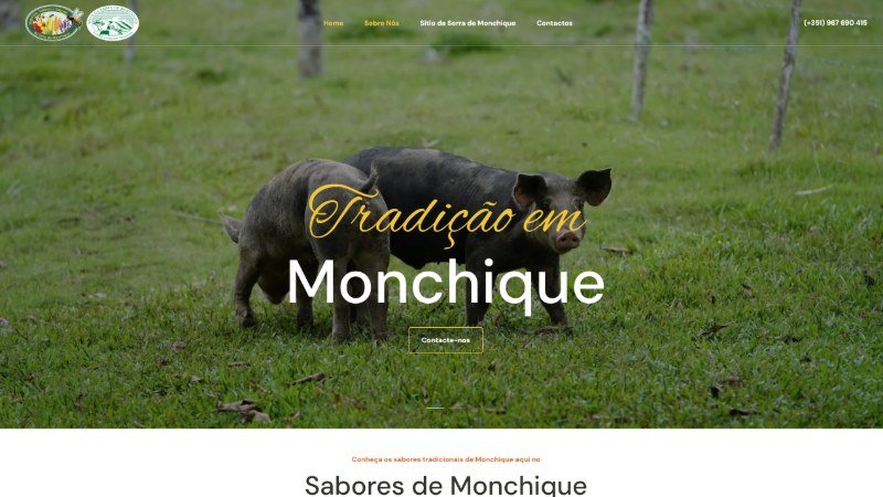Screenshot der Website Site Institucional